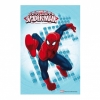 Opłatek na tort Spiderman-14. Rozmiar:21cm x 29cm