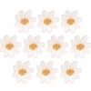 Miłek(10 szt.w opak.)(biało-złoty) Średnica kwiatu:3,5cm