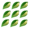 Liść czereśni (100szt.)-zielony pozłacany.Rozmiar listka:4,5cm na 2,5cm